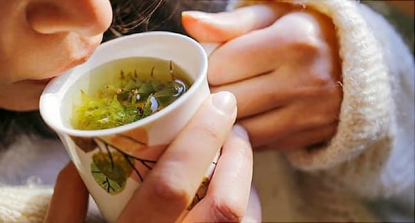 تصویر 1 از خرید و فروش پونه کوهی تلخ با شرایط فوق العاده